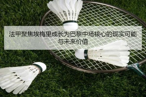 法甲聚焦埃梅里成长为巴黎中场核心的现实可能与未来价值