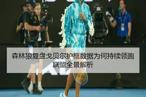 森林狼复盘戈贝尔护框数据为何持续领跑联盟全景解析