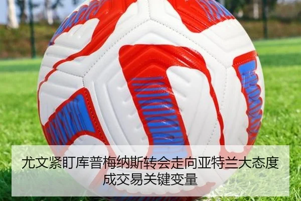 img_1783031777858_1801_1_784.jpg